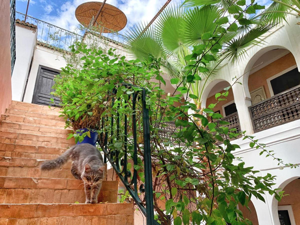 Riad Rockech Marakéš Exteriér fotografie