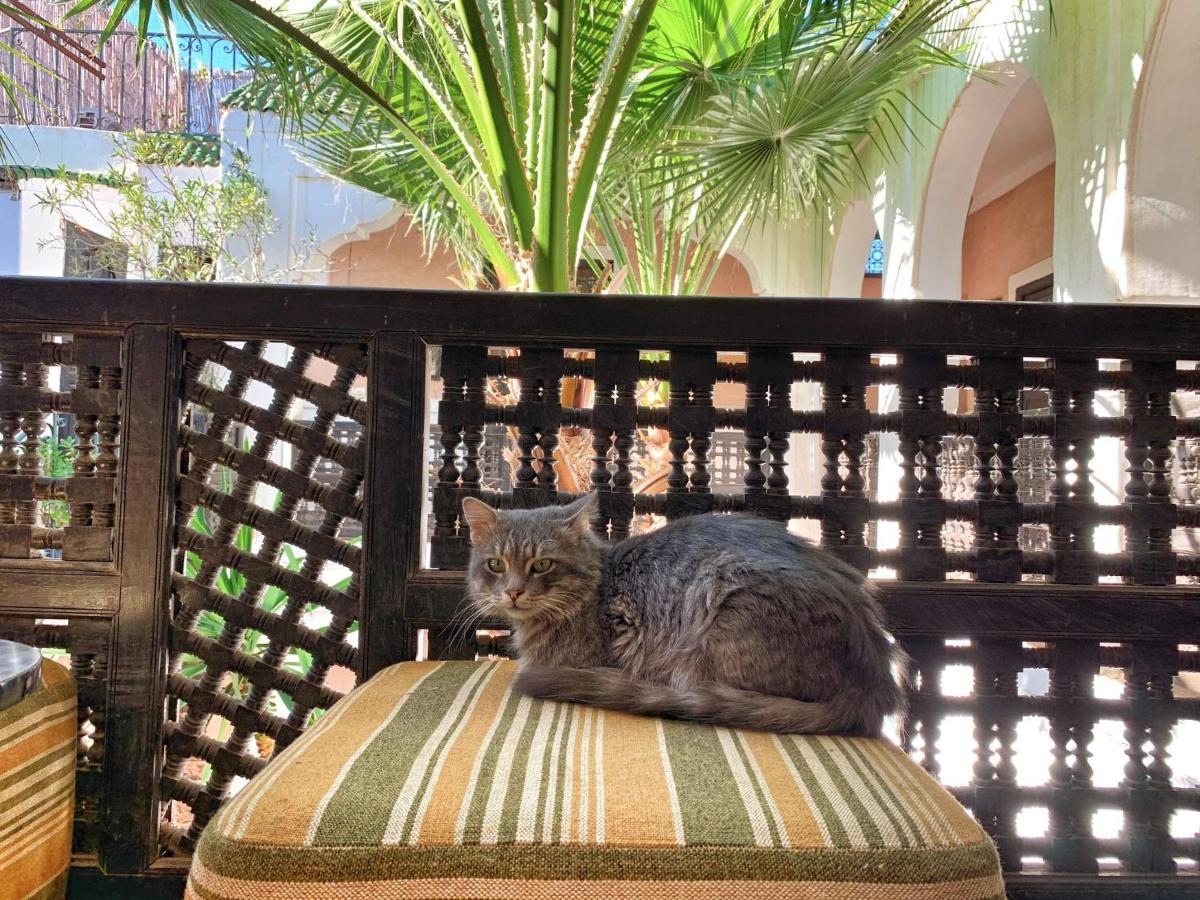 Riad Rockech Marakéš Exteriér fotografie