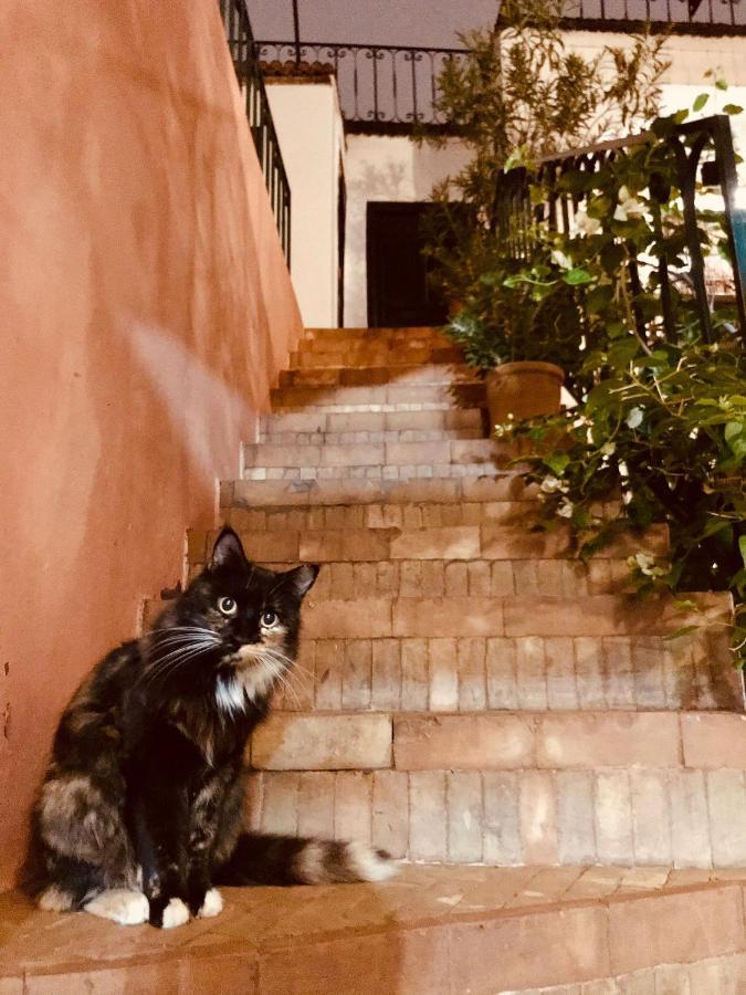 Riad Rockech Marakéš Exteriér fotografie